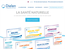 Tablet Screenshot of dielen.fr
